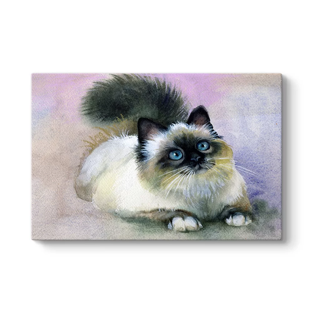 Sulu Boya Kedi Tablosu - Model 1